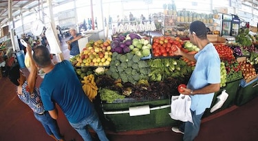 Merca Panamá operará con el Banco de Alimentos
