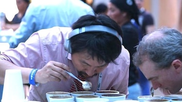 En Taiwán pagan $803 por una libra de geisha panameño