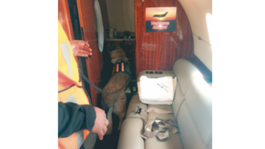 Guatemala ordena el embargo del avión de los Martinelli Linares