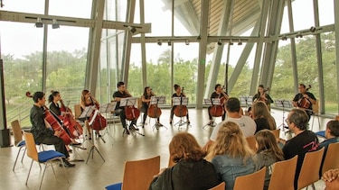 Recital de violonchelos en Boquete