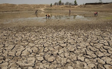 'Sequías por el fenómeno El Niño podrían ser aún peores'