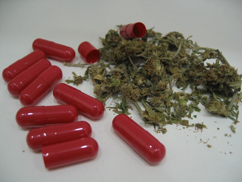 ABC del cannabis medicinal en Panamá: Ley, empresas y oportunidades