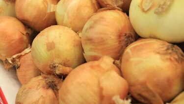 IMA se compromete a retirar la cebolla de Natá desde el miércoles