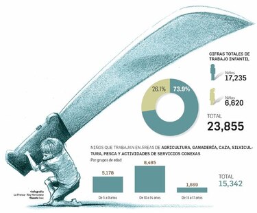 Agricultura, una actividad con cifras de trabajo infantil