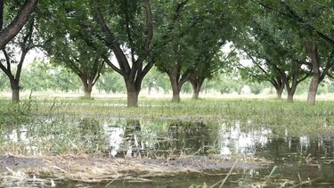 La creciente disputa entre México y Estados Unidos por la escasez de agua