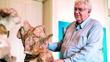 El mayor dinosaurio hallado en Brasil