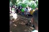 Sorprenden a 30 personas en gallera clandestina en Natá durante cuarentena total