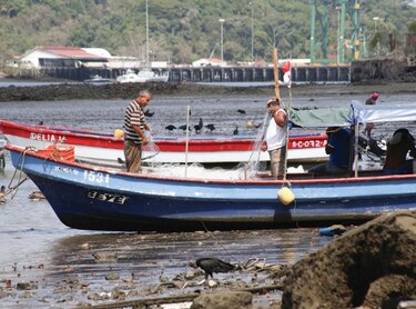 Oenegés solicitan a Cortizo veto parcial a la ley de pesca