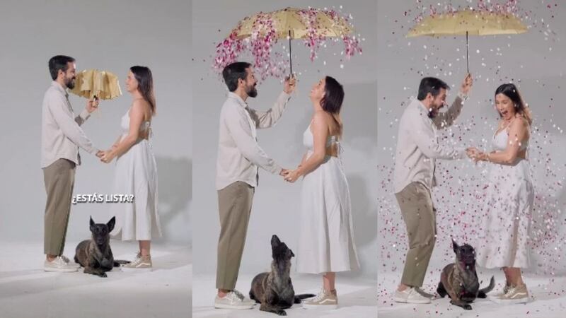 La actriz Andrea Pérez Meana revela que espera una niña en un tierno video