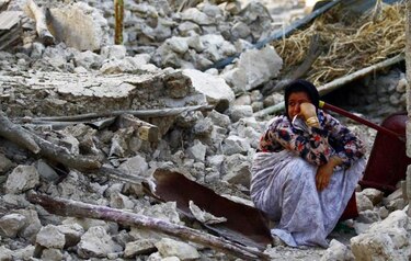 Un tipo de hormiga roja puede ayudar a predecir terremotos, según un estudio