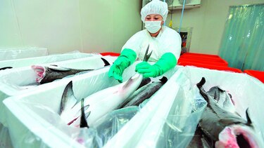 Exportaciones avanzan un 4.4%