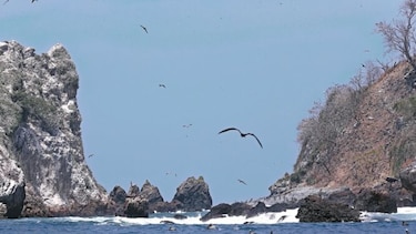 CENA deja sin efecto el arrendamiento parcial en isla Boná
