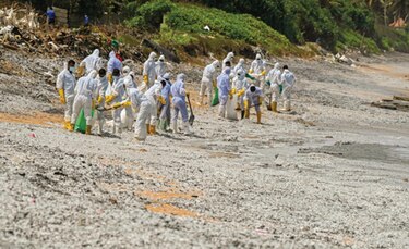 Playas de Sri Lanka, en medio de la peor catástrofe