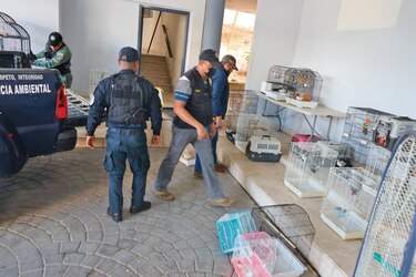 Ministerio Público abre más de 103 mil investigaciones por diversos delitos en los últimos dos años