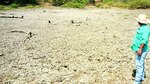 Panamá no pasa la prueba en materia de agricultura
