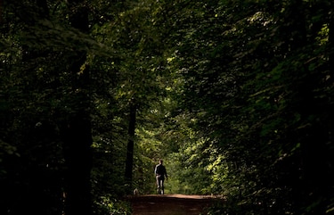 Estar 20 minutos en el bosque reduce el estrés, según un estudio de científicos austriacos