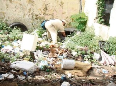 Colón, a merced de más casos de dengue