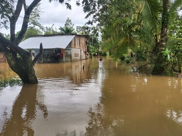 Varios sectores de Changuinola y Almirante quedan bajo el agua; hay 5 mil personas afectadas y mil 91 viviendas inundadas 