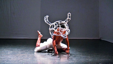 Un colaborador de la danza