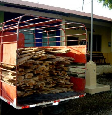 La teca no conviene para efectos de reforestación en Panamá