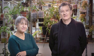 Pareja francesa gana el ‘Nobel de Arquitectura’