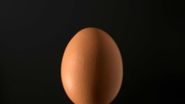 Unión Europea: 15 países recibieron huevos o derivados contaminados