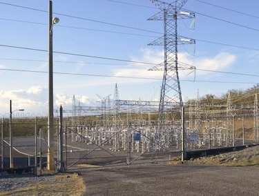Ardilla provoca apagón eléctrico por media hora en David