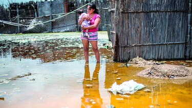 Damnificados tratan de recuperar sus vidas