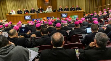 Obispos piden el 'pecado ecológico', curas casados y mujeres diáconos para la Amazonía