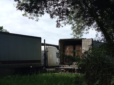 Coobana sostiene exportación de banano a Europa pese a la crisis en Bocas del Toro