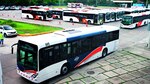 Mi Bus rinde cuentas sobre plan de mejoras