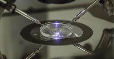 Costa Rica presenta propuesta sobre fertilización in vitro