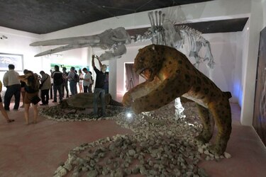 Abre Museo de la Prehistoria tras una década de investigación