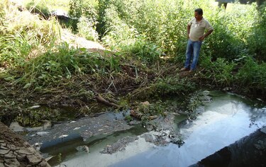Investigan mortandad de peces en el río Escotá, en Herrera