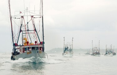 Panamá refuerza control para eliminar pesca ilegal