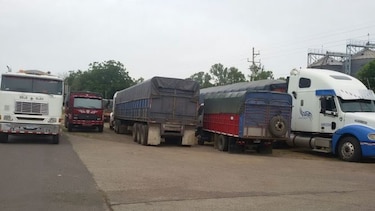 Arroceros denuncian falta de espacio en los silos de La Honda