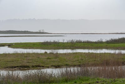 OMM advierte que las reservas de agua globales se están agotando ante crecientes sequías