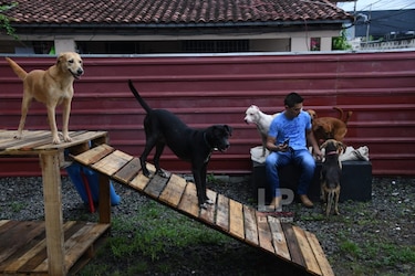 Inauguran centro de adopciones de animales rescatados