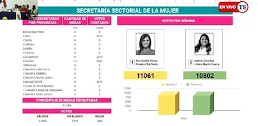 CD lleva un 32% de avance en escrutinio; piden celeridad en el conteo