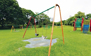 Mantenimiento del Parque Omar, a licitación