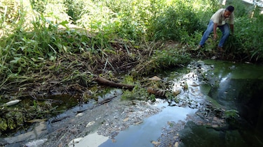 Anam detecta causa de mortandad de peces en el río Escotá