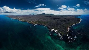‘Después de 200 años, volvemos a ver esta especie’: el sorpresivo regreso de las aves perdidas a las Islas Galápagos