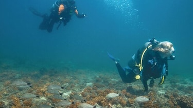 Explorando el paisaje submarino
