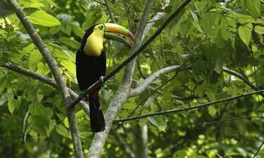 Impulsan nueve áreas protegidas para 'turismo verde'