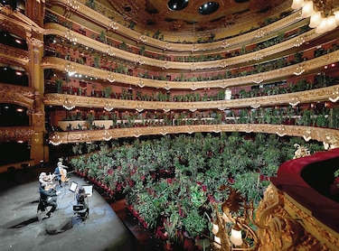 Plantas como público en el Gran Teatro Liceu