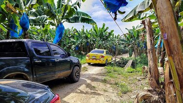 Sindicato bananero pide presencia de una comisión de la Asamblea en Bocas del Toro