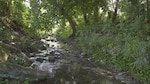 Río que brilla, río que muere