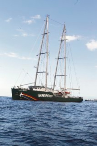 Greenpeace denuncia en Panamá la caza de ballenas