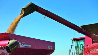 Agricultores de EU se beneficiarían de sequía
