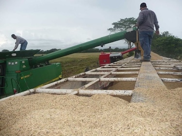 Presidente Varela sanciona cinco leyes relacionadas al sector agropecuario
